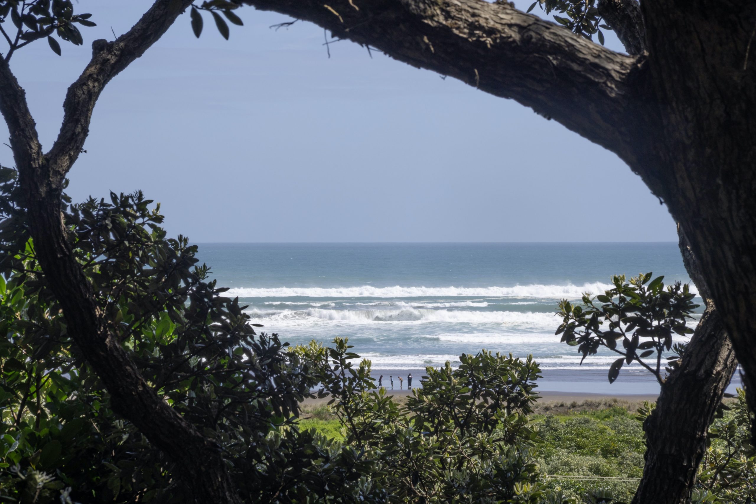 POHUTUKAWA PERCH