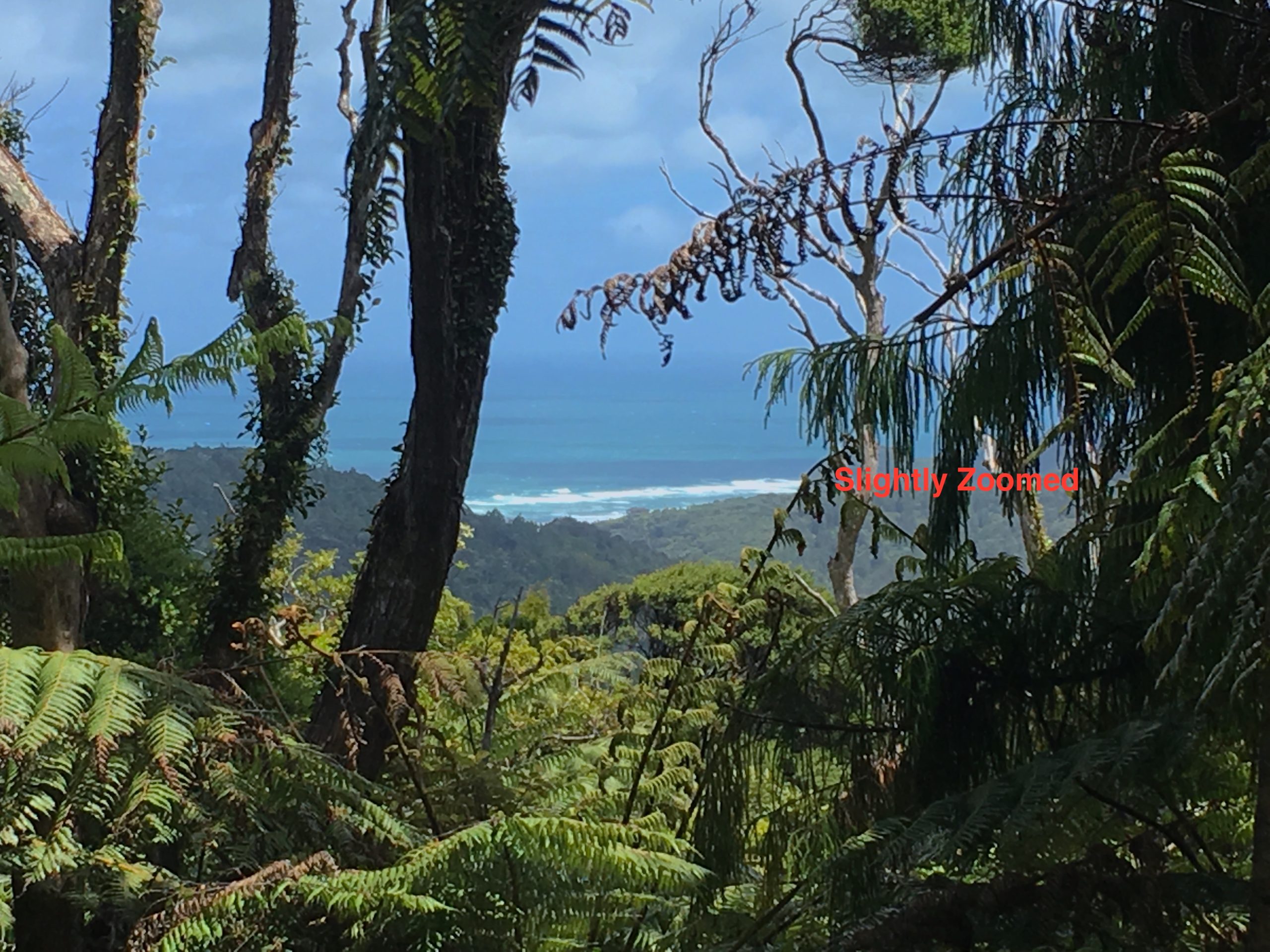 A BIG CHUNK OF PIHA